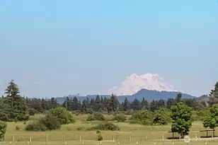 7038 183rd Ave SW, Rochester, WA 98579 - Photo 40