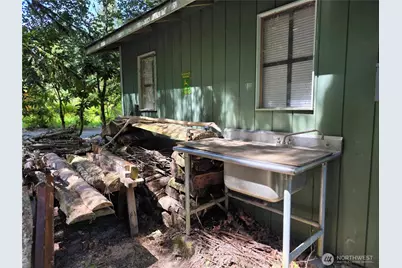 340 Appaloosa Drive, Brinnon, WA 98320 - Photo 20