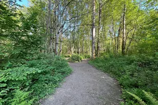 15901 108th St E, Puyallup, WA 98374 - Photo 32