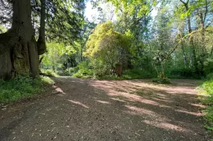15901 108th St E, Puyallup, WA 98374 - Photo 22