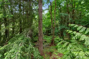 140 Windward Dr, Bellingham, WA 98229 - Photo 30