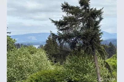 255 Twin Peak Drive, Castle Rock, WA 98611 - Photo 6