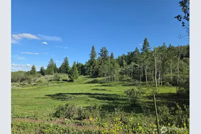 1066 A Ellemeham Mountain Road, Oroville, WA 98844 - Photo 28