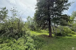 1066A Ellemeham Mountain Rd, Oroville, WA 98844 - Photo 26