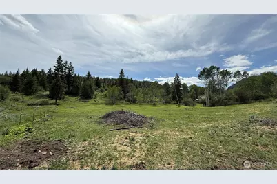 1066 A Ellemeham Mountain Road, Oroville, WA 98844 - Photo 24