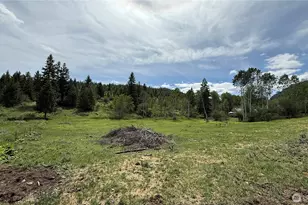 1066A Ellemeham Mountain Rd, Oroville, WA 98844 - Photo 24