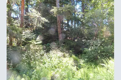 0 Xxx State Route 101, South Bend, WA 98586 - Photo 10