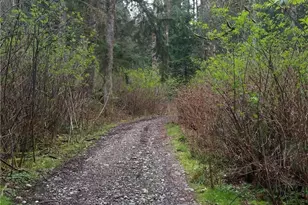 18661 Renton-Maple Vly Rd, Maple Valley, WA 98038 - Photo 28