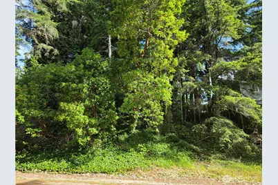 140 NE Matthew Drive, Belfair, WA 98528 - Photo 1