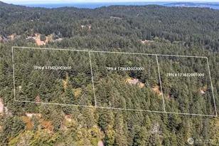 206 Upper Cow Hill Rd, Orcas Island, WA 98279 - Photo 2