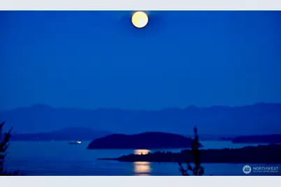206 Upper Cow Hill Road, Orcas Island, WA 98279 - Photo 40