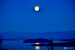 206 Upper Cow Hill Rd, Orcas Island, WA 98279 - Photo 40