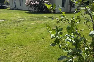 10563 District Line Rd, Burlington, WA 98233 - Photo 26