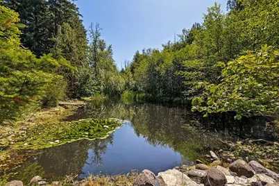 15711 Vail Cut Off Road SE, Rainier, WA 98576 - Photo 22
