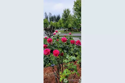18727 145th Street E, Bonney Lake, WA 98391 - Photo 20