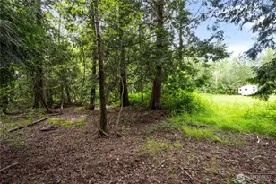 3233 Loomis Trail Rd, Custer, WA 98240 - Photo 28