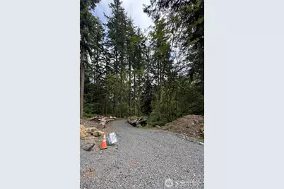 55015 315th Avenue, Ashford, WA 98304 - Photo 1