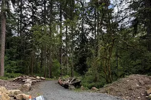 55015 315th Ave, Ashford, WA 98304 - Photo 1