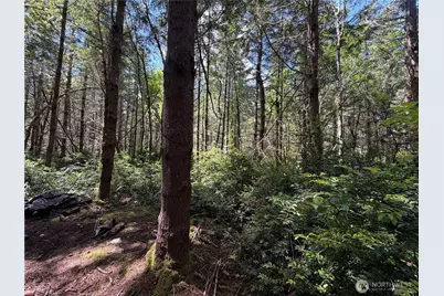 178 Geoduck Drive, Quilcene, WA 98376 - Photo 6