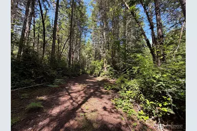 178 Geoduck Drive, Quilcene, WA 98376 - Photo 2