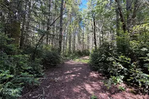 178 Geoduck Dr, Quilcene, WA 98376 - Photo 1