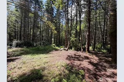 178 Geoduck Drive, Quilcene, WA 98376 - Photo 4