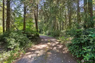 4938 Hilton Rd NE, Olympia, WA 98516 - Photo 28