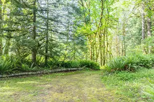 227 Cougar Ln, Toledo, WA 98591 - Photo 38