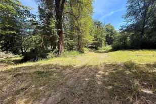 124 03 McKay, Randle, WA 98377 - Photo 10