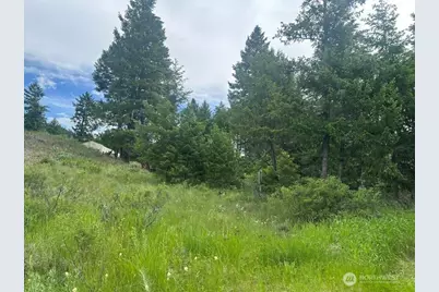 117 Two Horse Road, Wauconda, WA 98859 - Photo 32