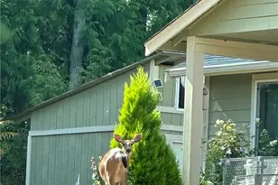 8205 Hide a Way Ln NW, Silverdale, WA 98383 - Photo 32