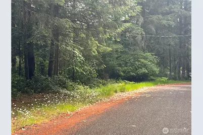 11111 Juniper Place, Anderson Island, WA 98303 - Photo 12