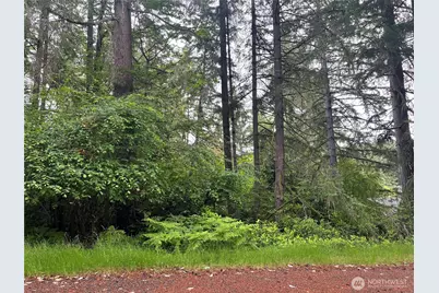 11111 Juniper Place, Anderson Island, WA 98303 - Photo 1