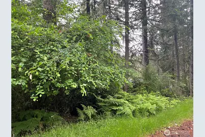 11111 Juniper Place, Anderson Island, WA 98303 - Photo 2