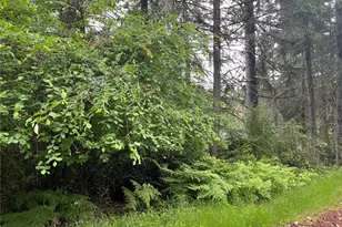 11111 Juniper Pl, Anderson Island, WA 98303 - Photo 2