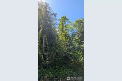 0 St. Route 508 Highway, Morton, WA 98356 - Photo 2