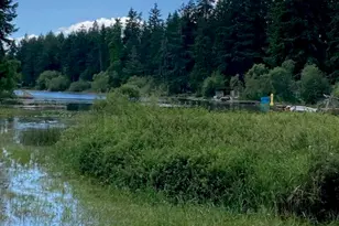 9920 Fairview Lake Rd SW, Port Orchard, WA 98367 - Photo 1