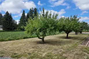 11132 Sterling Rd, Sedro Woolley, WA 98284 - Photo 26