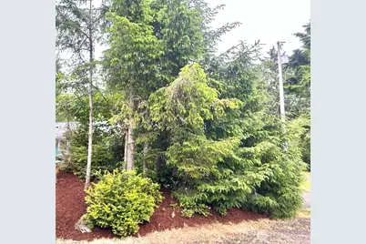 708 Eider Court SE, Ocean Shores, WA 98569 - Photo 28
