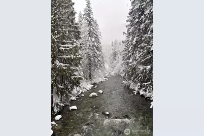 19045 Gill Creek Road, Lake Wenatchee, WA 98826 - Photo 14