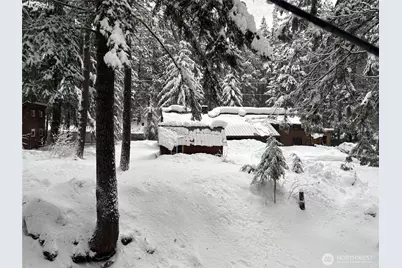 19045 Gill Creek Road, Lake Wenatchee, WA 98826 - Photo 16