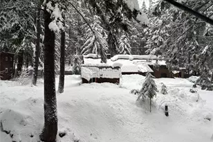 19045 Gill Creek Rd, Lake Wenatchee, WA 98826 - Photo 16