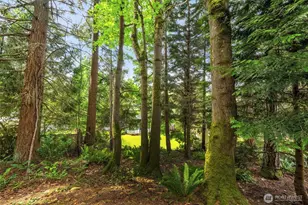 15454 SE 67th St, Bellevue, WA 98006 - Photo 38