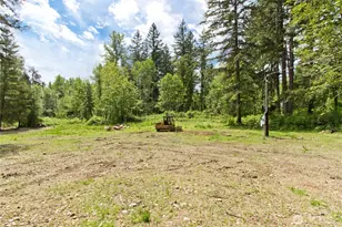 9704 274th St E, Graham, WA 98338 - Photo 32
