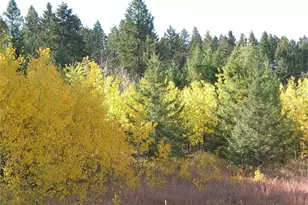 40 Turner Homestead Rd, Oroville, WA 98844 - Photo 14