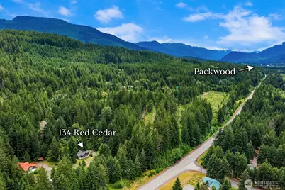 134 Red Cedar Lane, Packwood, WA 98361 - Photo 38