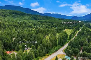 134 Red Cedar Ln, Packwood, WA 98361 - Photo 38