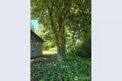 8823 Old Highway 99 SE, Tumwater, WA 98501 - Photo 12