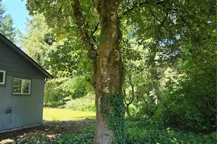 8823 Old Hwy 99 SE, Tumwater, WA 98501 - Photo 12