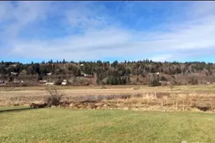215 Driftwood Shores Rd, Camano Island, WA 98282 - Photo 2